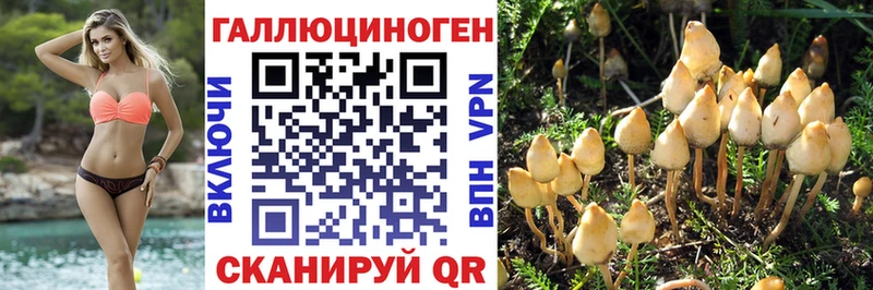 наркотики  Нестеровская  mega вход  Галлюциногенные грибы Magic Shrooms 